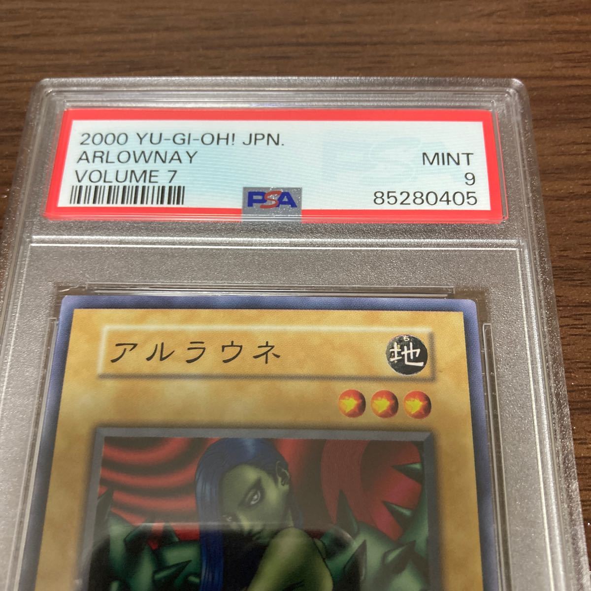 PSA9 連番遊戯王アルラウネ初期ノーマルVol.7 2枚セット- –日本 PSA9 連番遊戯王アルラウネ初期ノーマルVol.7 2枚セット- –日本