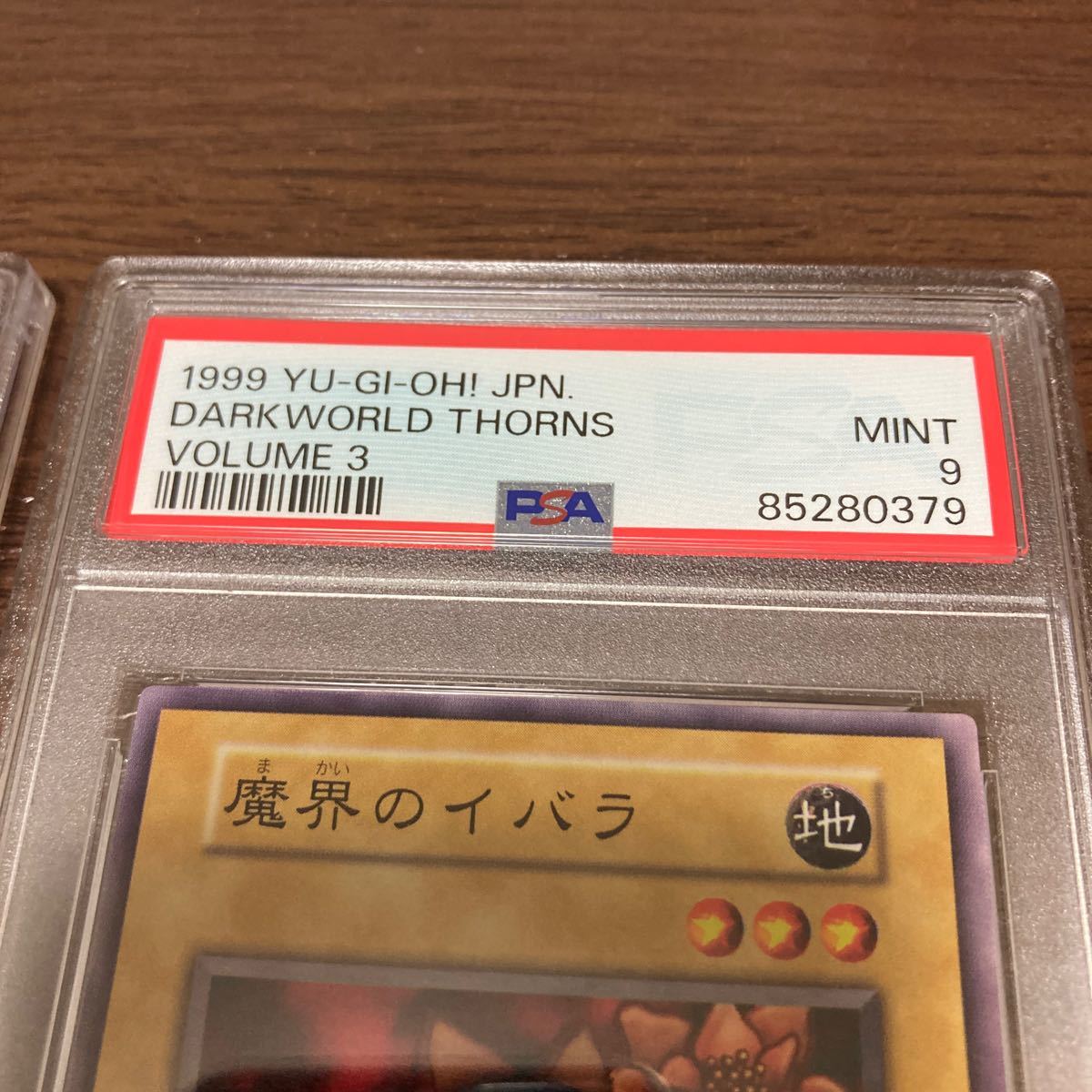 PSA9 連番　遊戯王 魔界のイバラ　初期　ノーマル　2枚セット　Vol.3_画像3