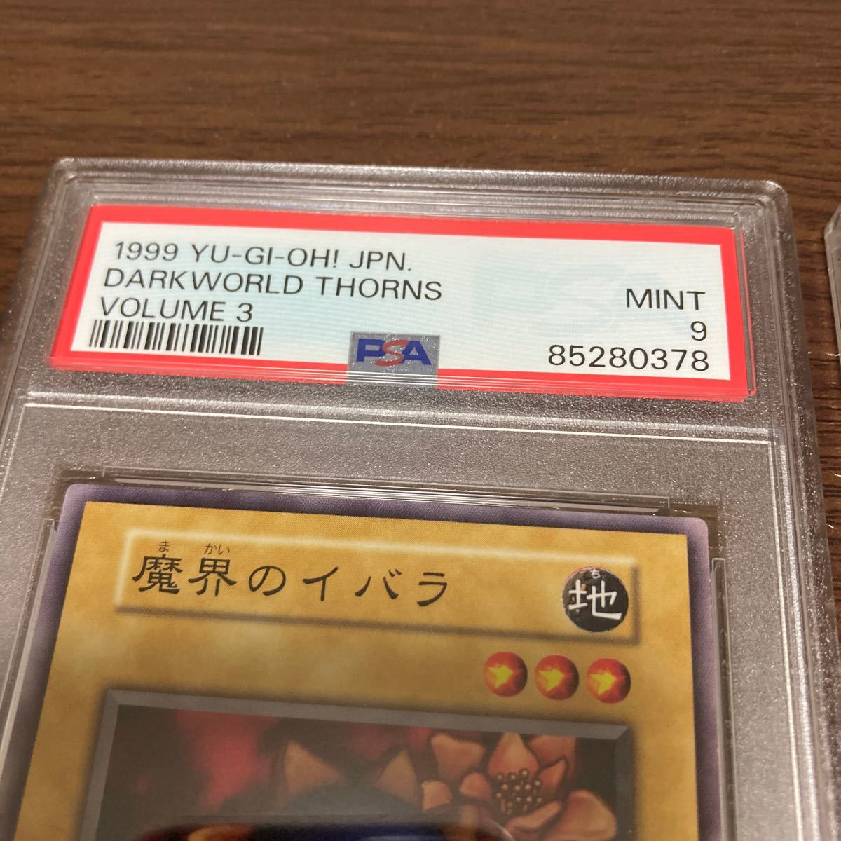 PSA9 連番 遊戯王 魔界のイバラ 初期 ノーマル 2枚セット Vol.3 PSA9 連番 遊戯王 魔界のイバラ 初期 ノーマル 2枚セット Vol.3