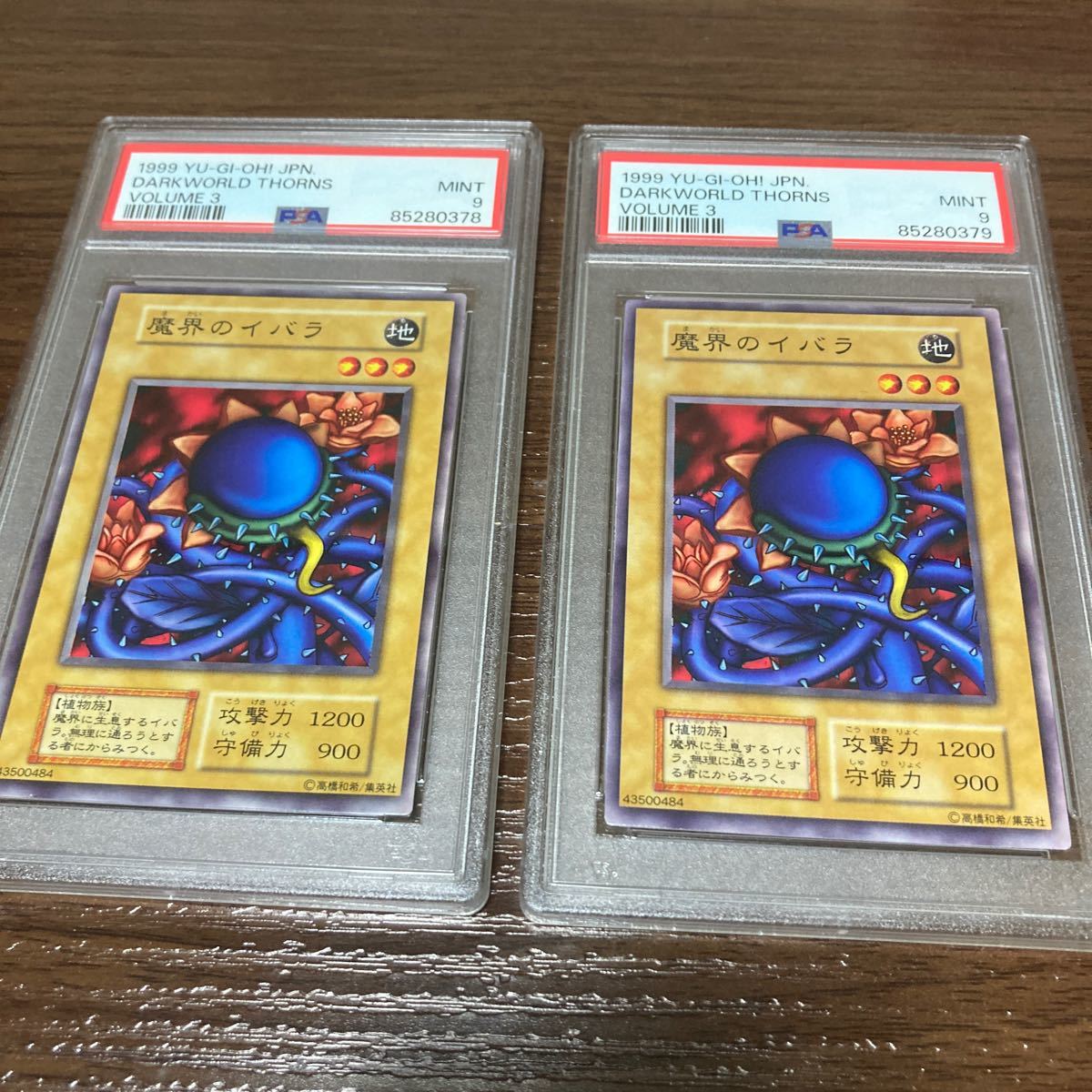 PSA9 連番 遊戯王 魔界のイバラ 初期 ノーマル 2枚セット Vol.3 PSA9 連番 遊戯王 魔界のイバラ 初期 ノーマル 2枚セット Vol.3