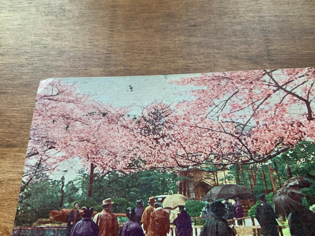 VV-218 ■送料込■ 東京都 靖国神社の桜 花見 女性 台湾台北 専売局 切手 消印 エンタイア 人 風景 絵葉書 古葉書 写真 古写真/くNAら_画像5