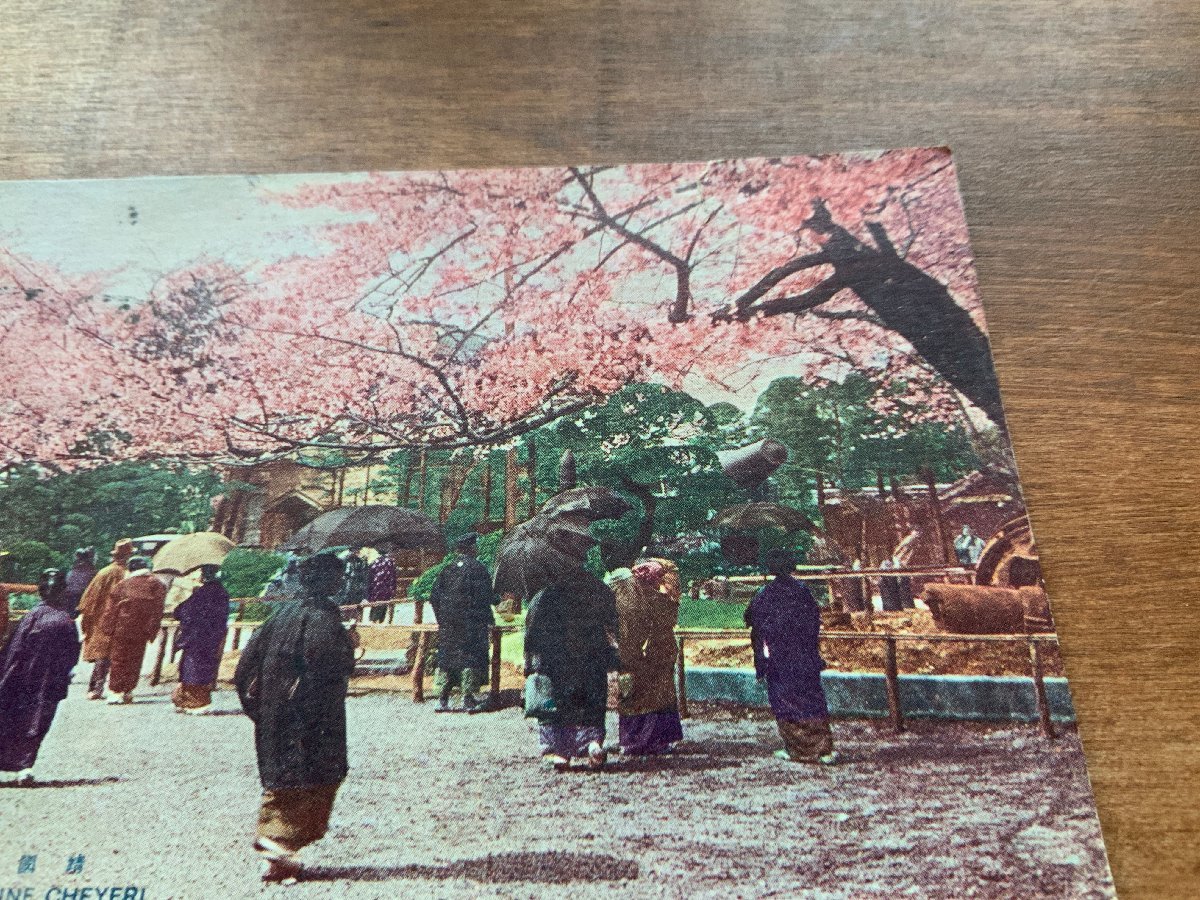 VV-218 ■送料込■ 東京都 靖国神社の桜 花見 女性 台湾台北 専売局 切手 消印 エンタイア 人 風景 絵葉書 古葉書 写真 古写真/くNAら_画像3