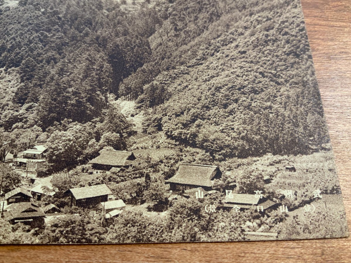 VV-877 ■送料込■ 東京都 八王子 武州 高尾山 登山口全景 トンネル 建物 風景 登山 山 レトロ 自然 絵葉書 古葉書 写真 古写真/くNAら_画像6