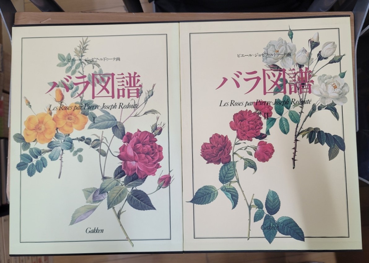 △01)【同梱不可】南太平洋のシダ植物図鑑/国立科学博物館叢書8/国立科学博物館/東海大学出版会/2008年発行/A - 野草、植物 △01)【同梱不可】南太平洋のシダ植物図鑑/国立科学博物館叢書8/国立科学博物館/東海大学出版会/2008年発行/A - 野草、植物