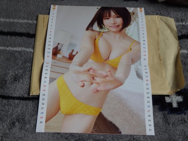 e.. swimsuit . equipped 2024 calendar Young animal 2023 year 24 number separate volume appendix new goods free shipping 