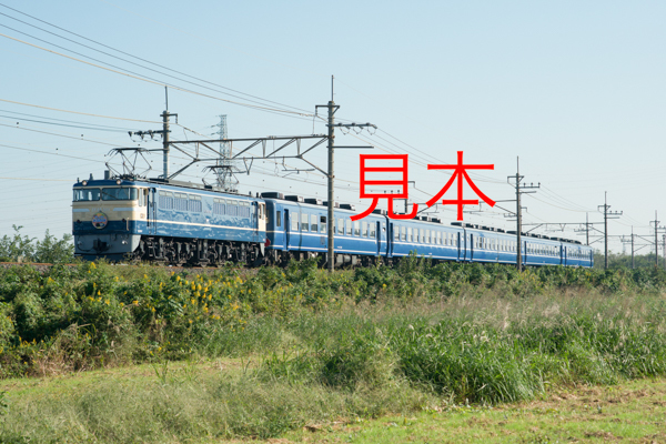 鉄道写真データ（JPEG）、00729399、EF65-501＋12系、快速ELみなかみ号、JR武蔵野線、東川口〜東浦和、2016.10.15、（7219×4818）_画像1