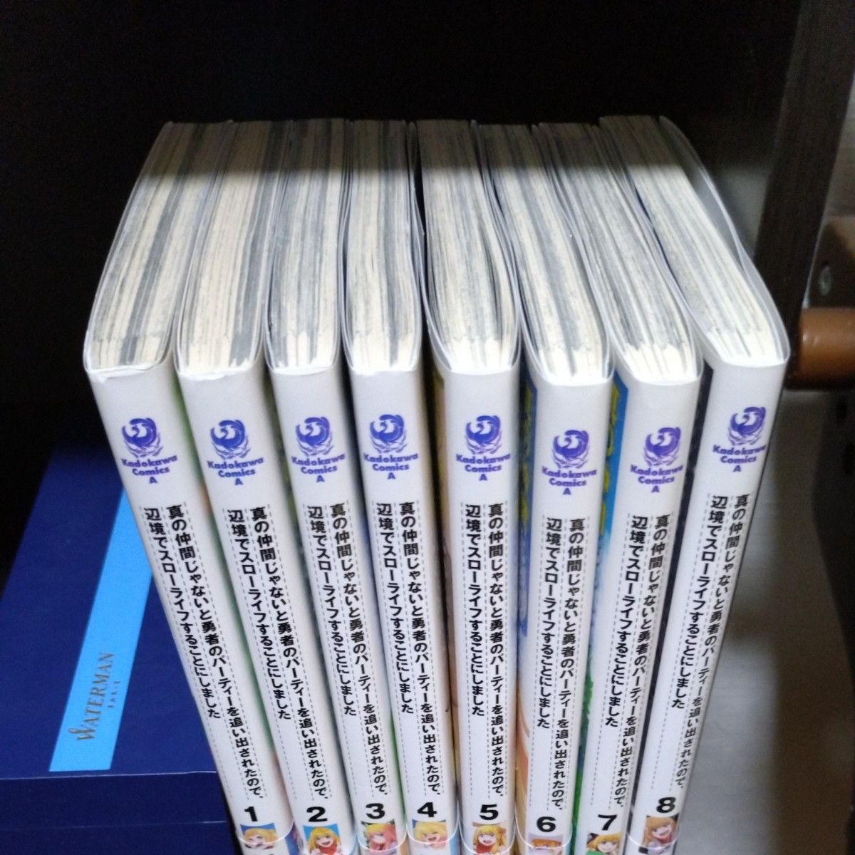 真の仲間じゃないと勇者のパーティーを追い出されたので、辺境でスローライフすることにしました