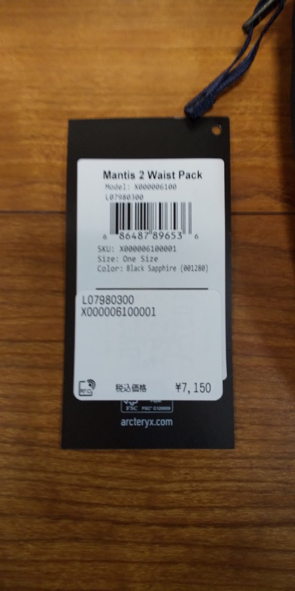 ARC’TERYX Mantis2 Waist Pack_画像2