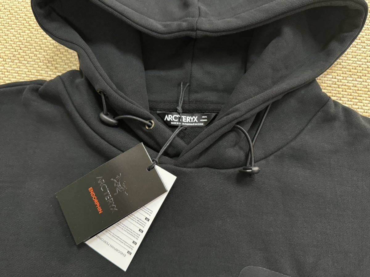 ARC'TERYX アークテリクス コラボパーカー フリースパーカー Lサイズ_画像6