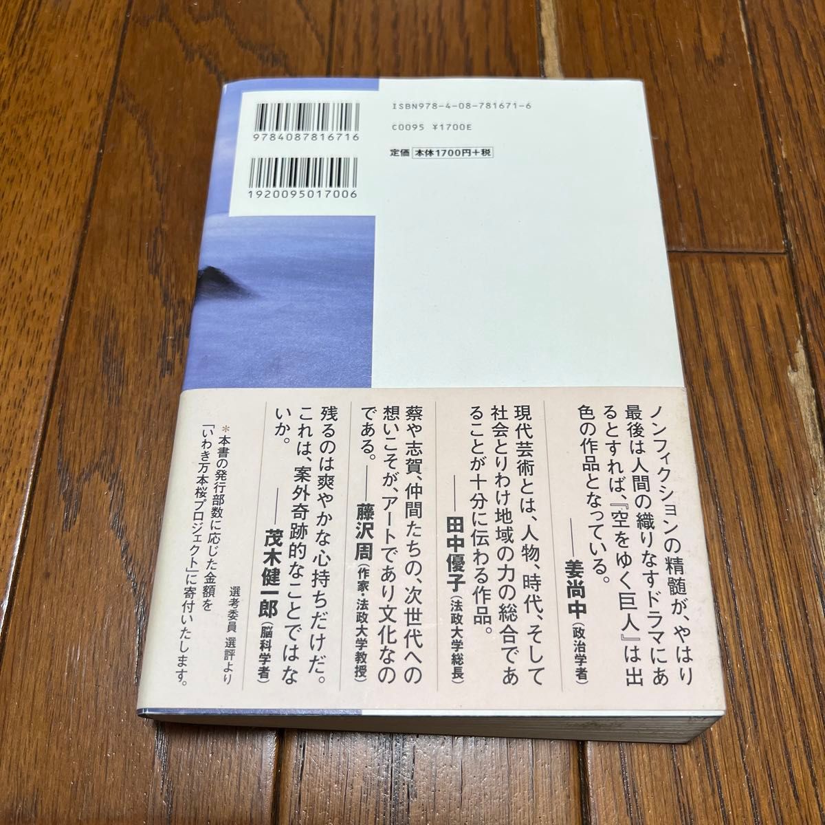 空をゆく巨人 川内有緒／著