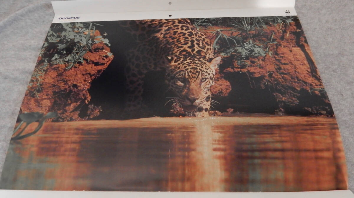 2018年 オリンパス OLYMPUS カレンダー 生命みなぎる大湿原■パンタナール Pantanal ブラジル■野生動物写真の第一人者 岩合光昭 撮影