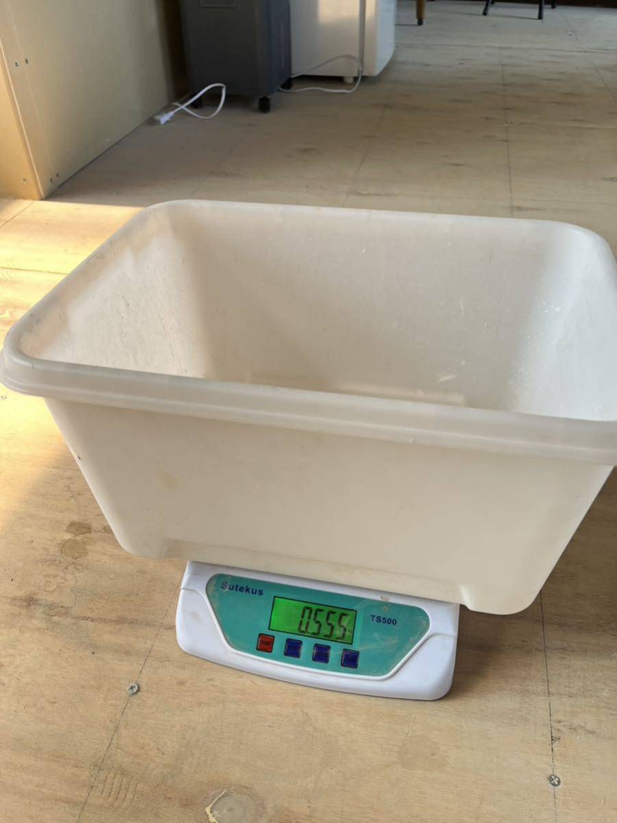 鹿の角 エゾシカ 鹿 角先 15kg けんか角 端材 アクセサリー 鹿の角 エゾシカ 鹿 角先 15kg けんか角 端材 アクセサリー