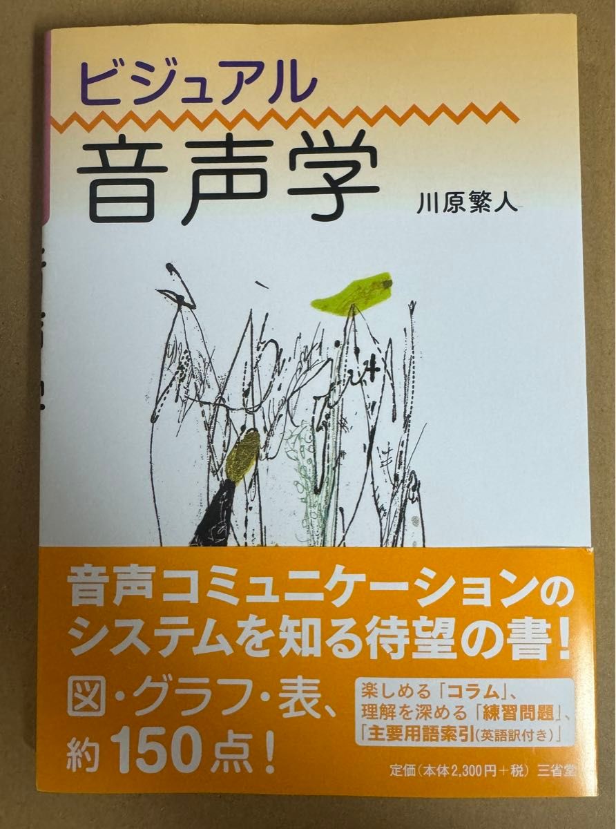 ビジュアル音声学 川原繁人／著