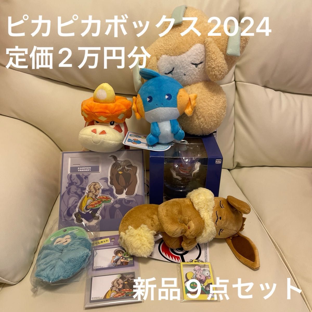 ピカピカボックス2024 9点セット ポケモンぬいぐるみ トレーナーグッズ