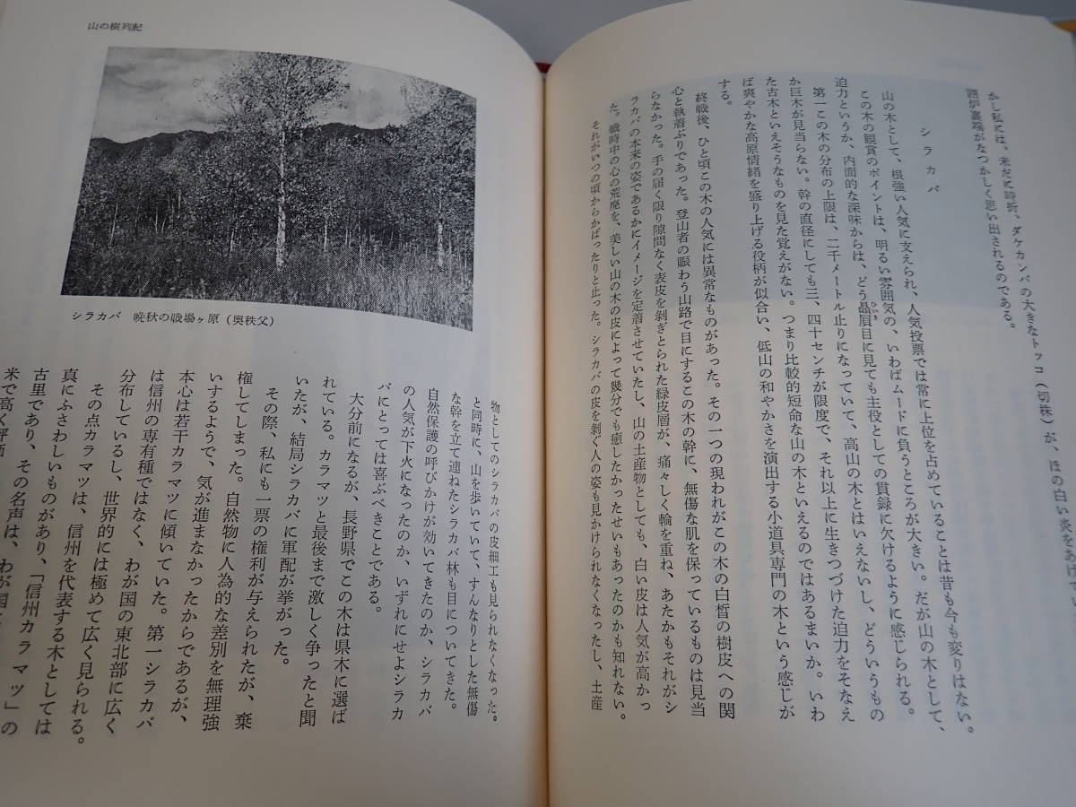 HうD☆ 黄色いテント 田淵行男 実業之日本社 1985年 昭和60年初版発行_画像8