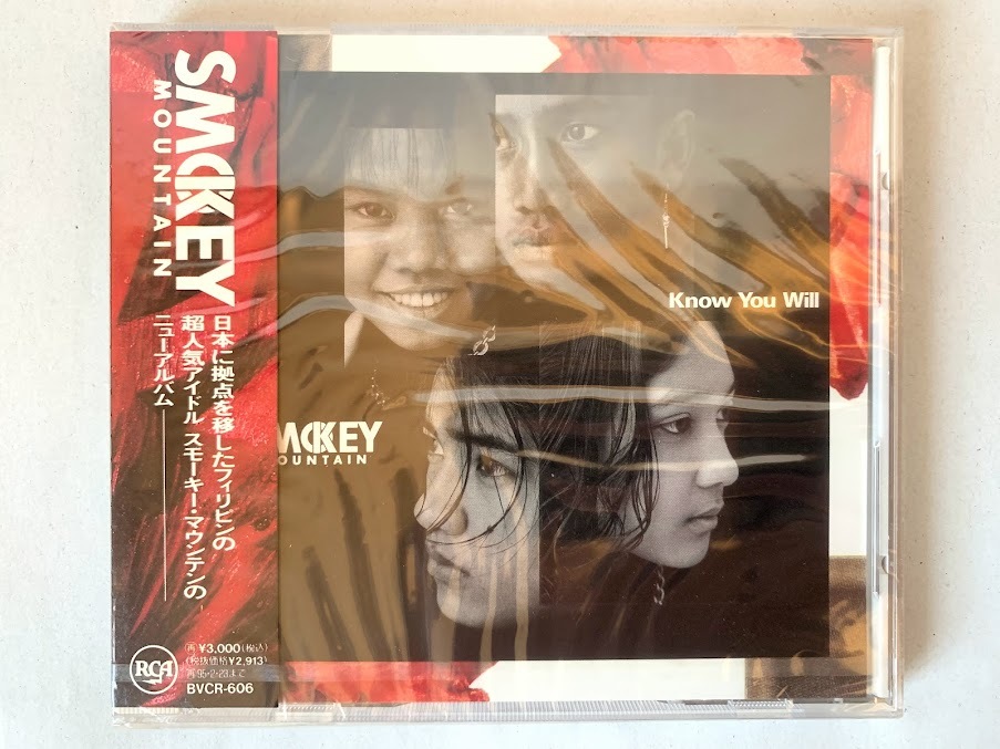 未開封 見本品 スモーキー・マウンテン SMOKEY MOUNTAIN ノウ・ユー・ウィル Know You Willの画像1