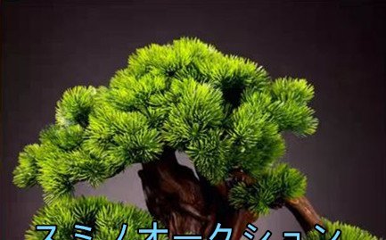 観葉植物 人工木 人工植物 人工観葉樹 シミュレーションツリーシミュレーション歓迎松盆栽緑の植物植物屋内と屋外フェイクグリーン 大型人_画像3