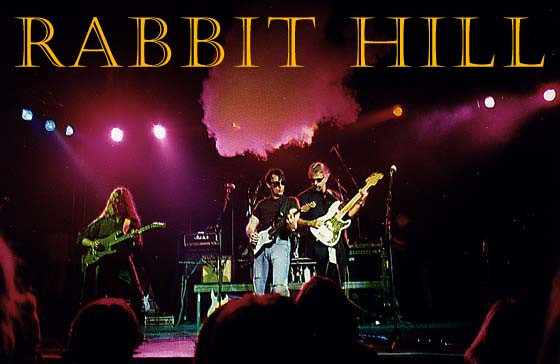 RABBIT HILL / Carrots And Sticks　ドイツ産メロディックハード、クラシック・ロック、唯一作！_画像3