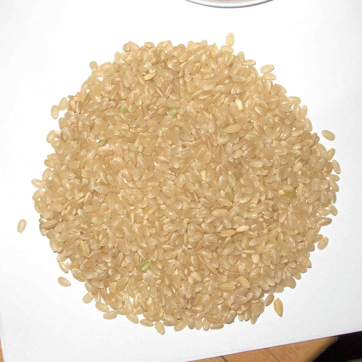 新米2023 送料無料 栃木県産コシヒカリ 10kg 2023年産　白米　単一原料米 　riceworkwhite 　1_画像3