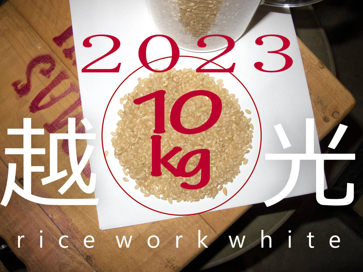 新米2023 送料無料 栃木県産コシヒカリ 10kg 2023年産　白米　単一原料米 　riceworkwhite 　1_画像1
