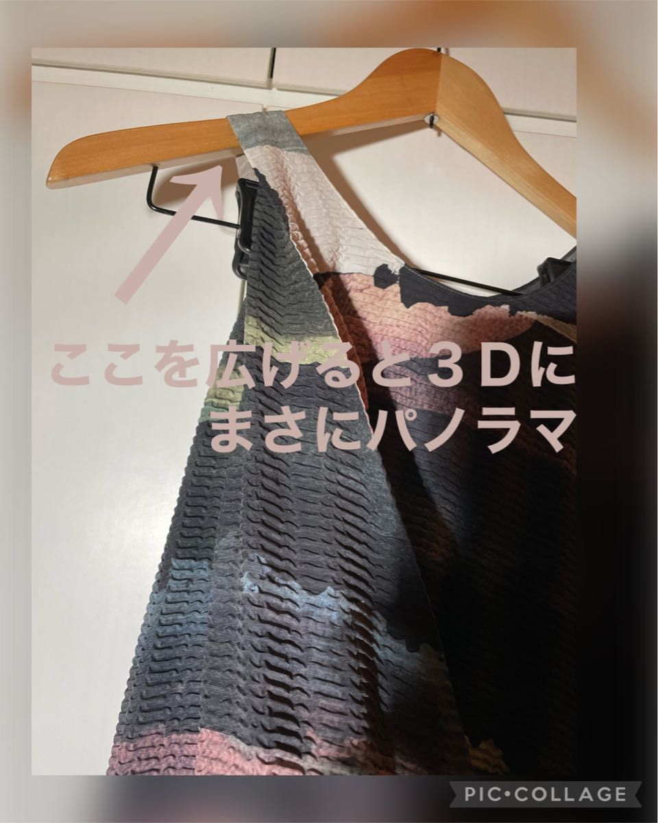 イッセイミヤケ ３Ｄ パノラマ スチーム系プリーツ ISSEY MIYAKE チュニック