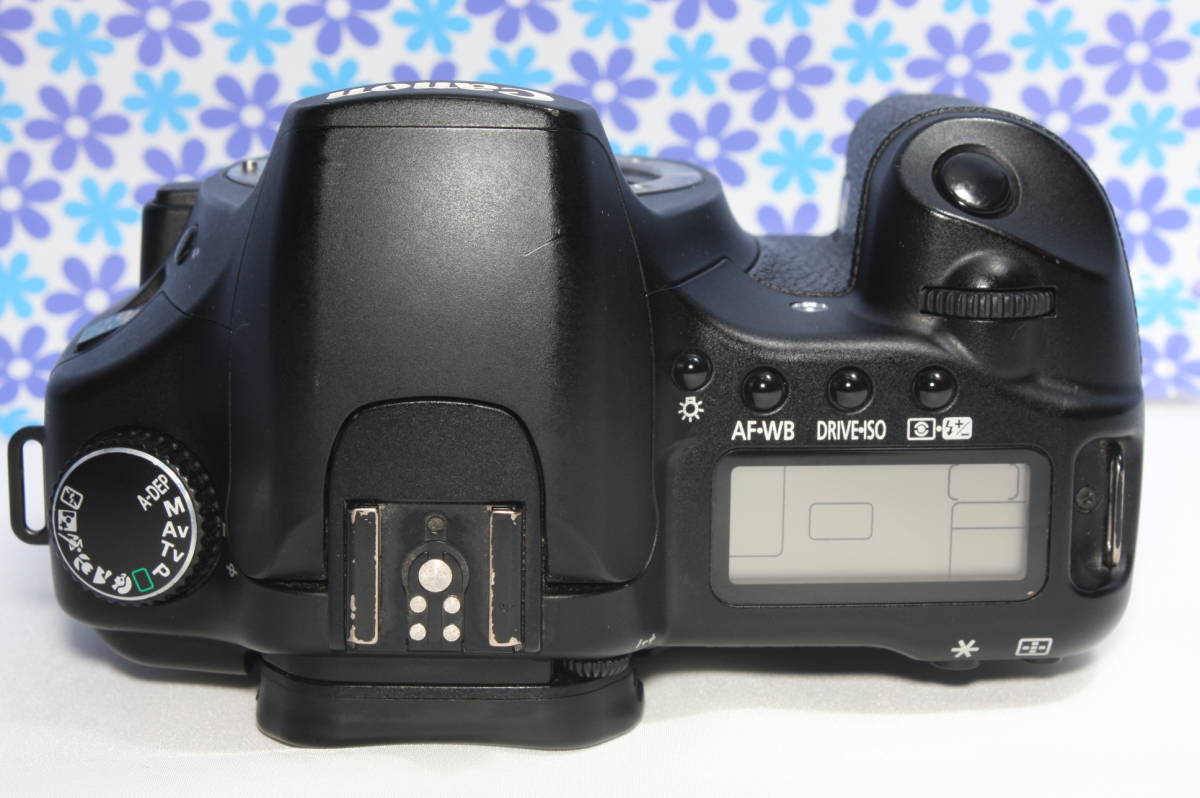 極上美品 Canon キャノン EOS 30D 高画質 コンパクト 初心者おすすめ 