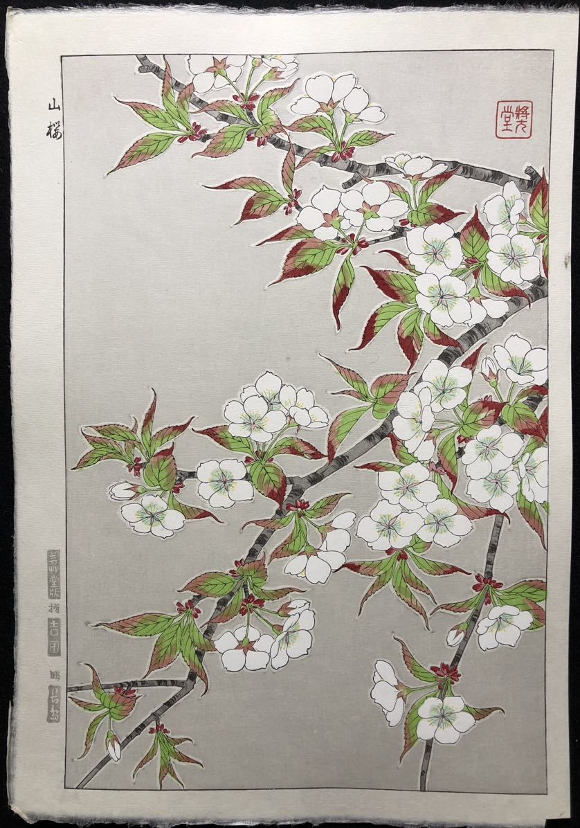 木版画 河原崎奨堂【山桜】芸艸堂版 大判 彫長島 摺吉田 真作 ■ 浮世絵 新版画 植物画 Ukiyoe_画像1