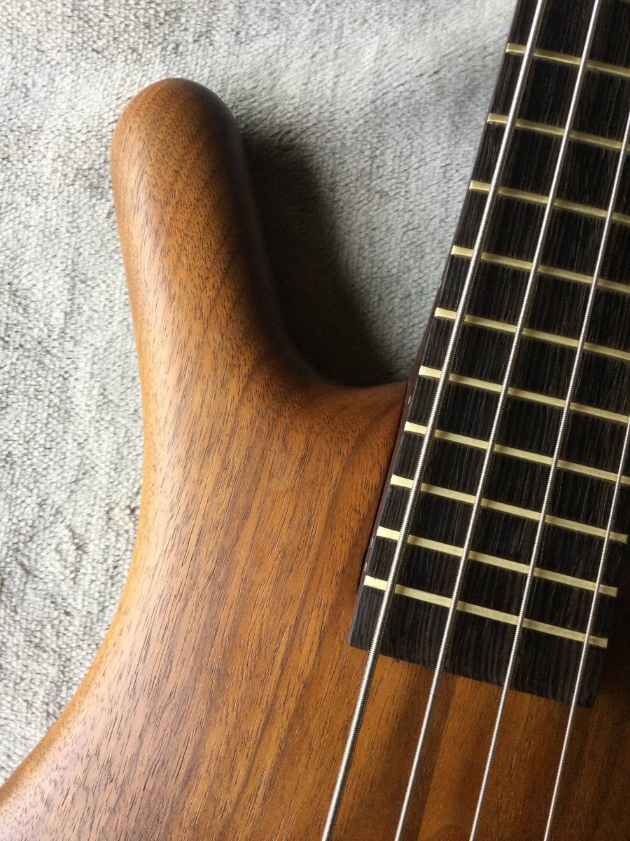 Warwick Thumb Bass Bolt-on 4st modify_画像3
