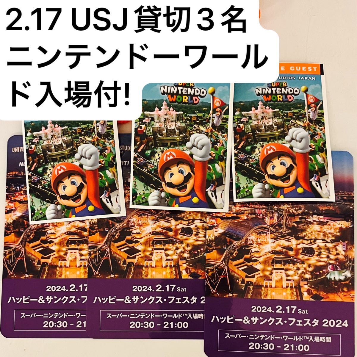 ニンテンドーワールド入場付 USJ 貸切 2/17 限定チケット 3名分 ニンテンドーワールド入場付 USJ 貸切 2/17 限定チケット 3名分