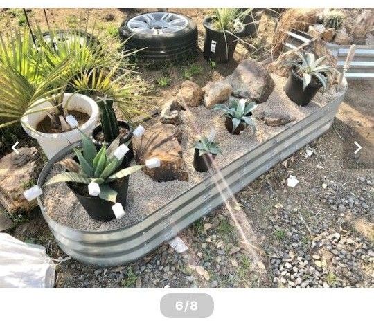 地植え アガベ ドライガーデン palmsprings 鉢 プランター 地植え アガベ ドライガーデン palmsprings 鉢 プランター
