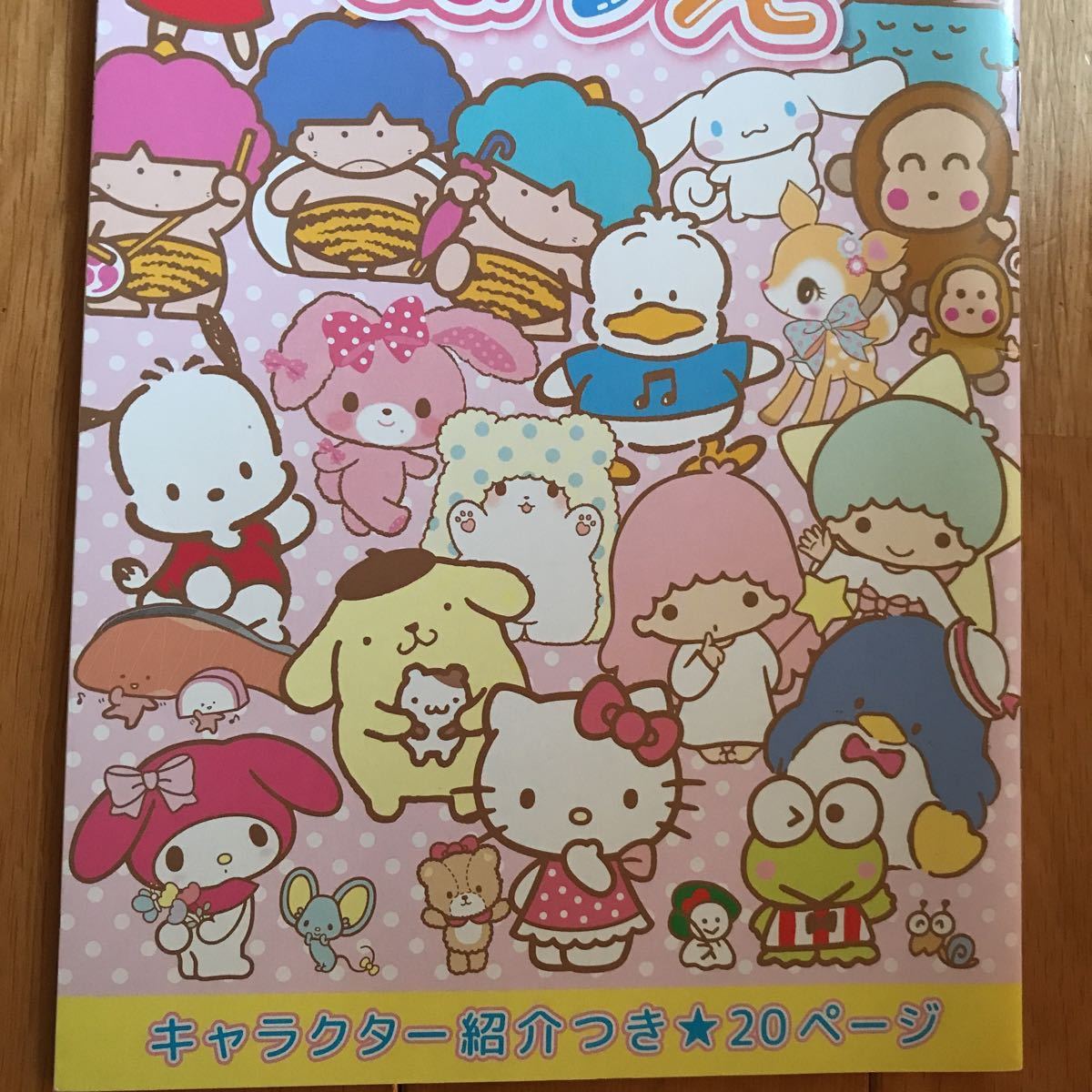  Sanrio character z paint picture 