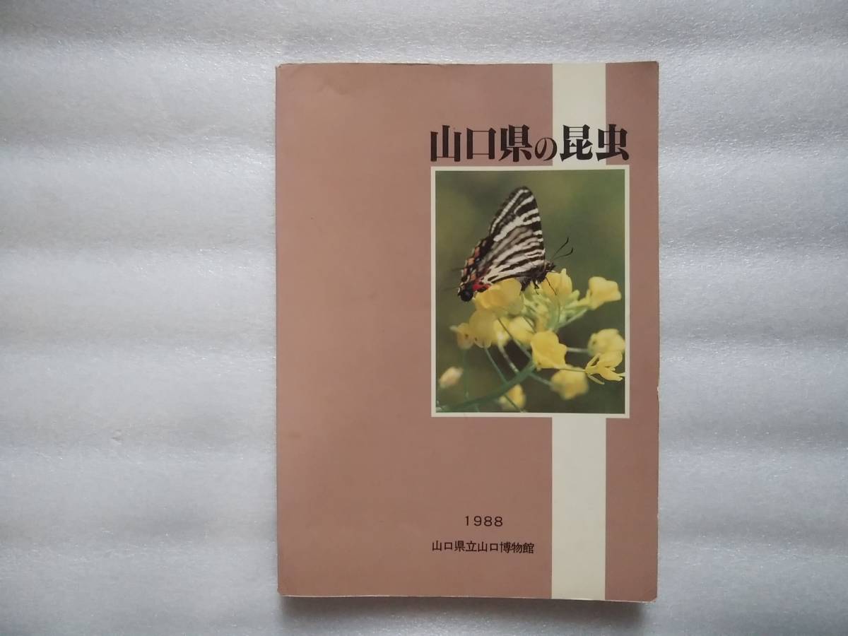 山口県の昆虫　山口県立山口博物館　1988年発行　_画像1