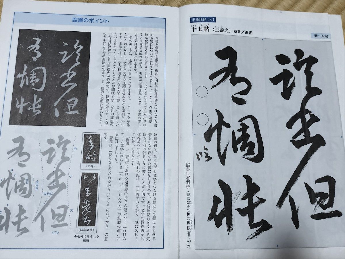 日本習字　臨書部 2010年1.2.3.4.5.8.9.10.11.12