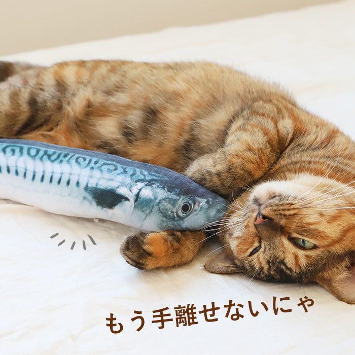 * D type * 30cm * cwj09 cat toy cat toy fish one person playing cat .. soft toy Dakimakura .......... real . fish ..