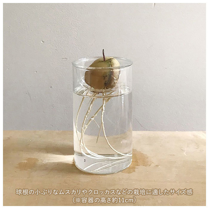 ☆ クリア 花瓶 ガラス 通販 BULB VASE バルブベース 11cm スパイス KEGY4053 ガラスベース ガラス花器 かわいい 水栽培 容器 おしゃれ_画像5