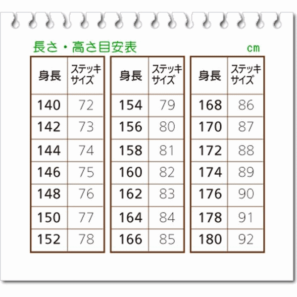 【平日15時まで即日出荷】楽しく歩こうセット（婦人用）【高齢者 贈り物 杖 ステッキ 介護用 杖 靴 シューズ 婦人 介護シューズ】_画像9