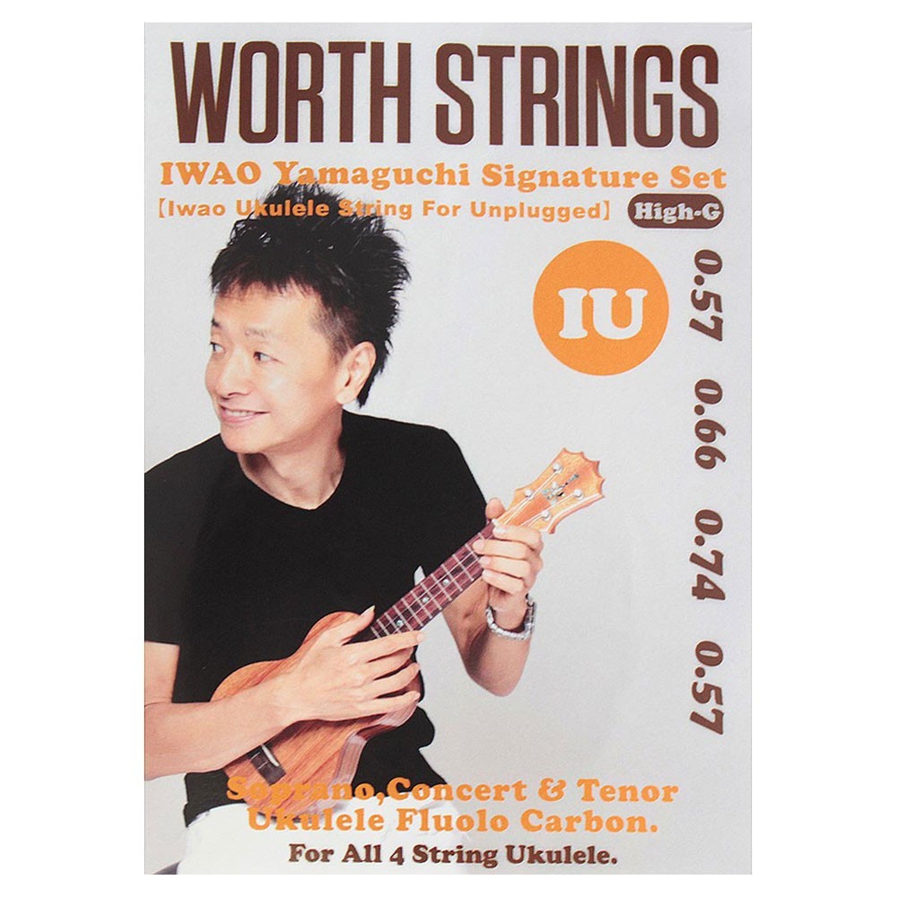 Worth Strings IU IWAO Unplugged High-G ウクレレ弦_画像1