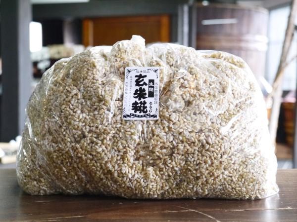 【おたまや】玄米麹 生麹（5kg）_玄米糀（生こうじ）５ｋｇ