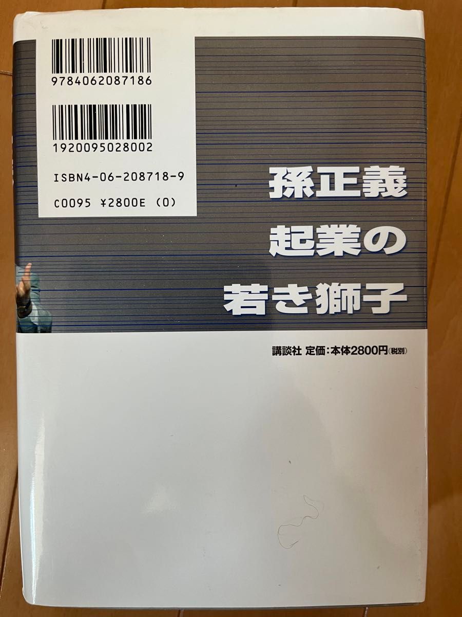 孫正義起業の若き獅子 大下英治／著