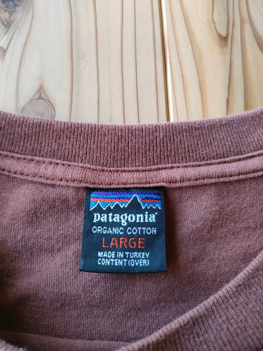 パタゴニア　patagonia　半袖Tシャツ　_画像5