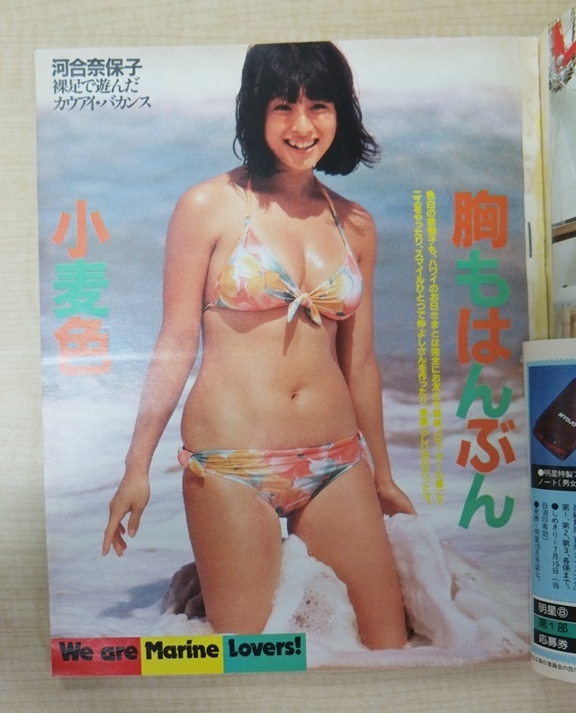  журнал Kawai Naoko купальный костюм Ishikawa Hidemi анютины глазки Imawano Kiyoshiro 