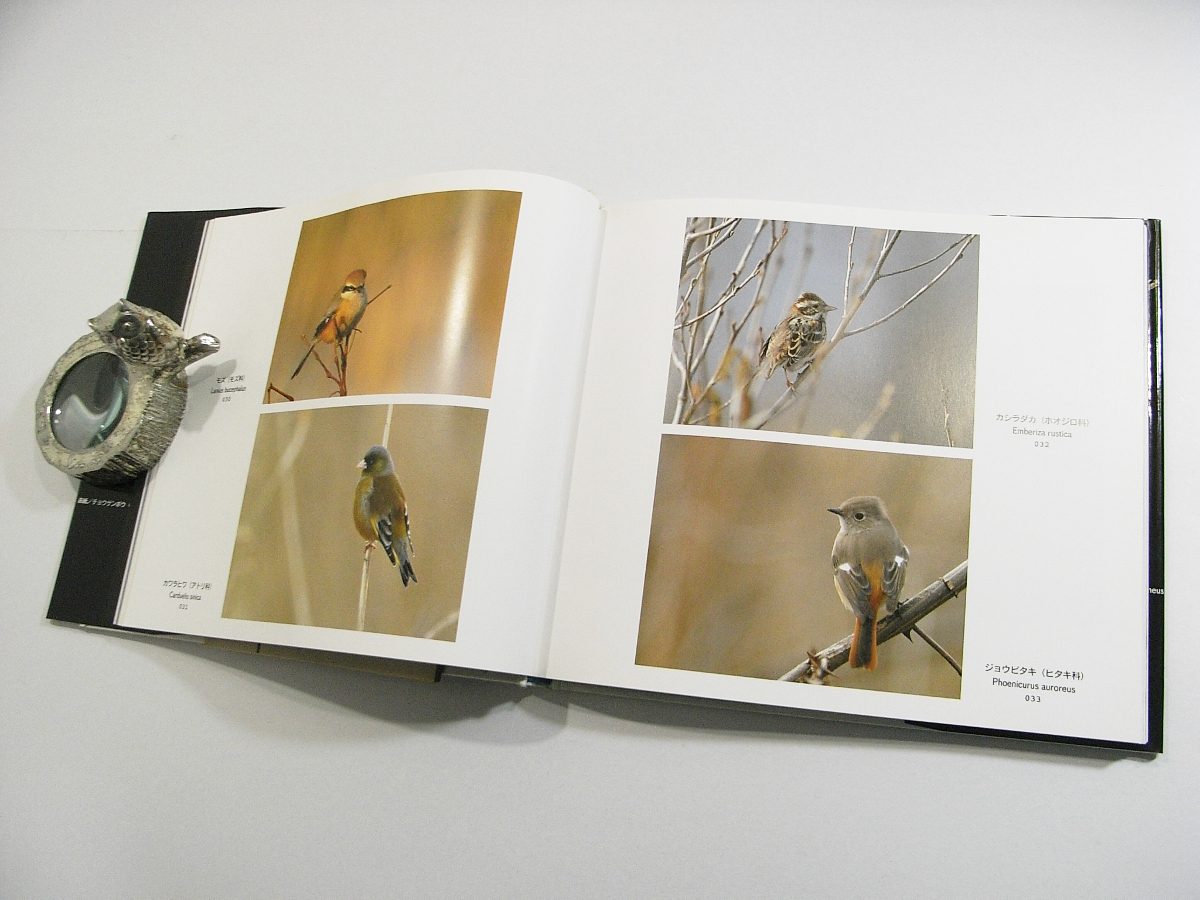 L/ фотоальбом ... птица . был время Toyama дикая птица защита. . багряник японский книжный магазин 1995 год / старая книга старинная книга 