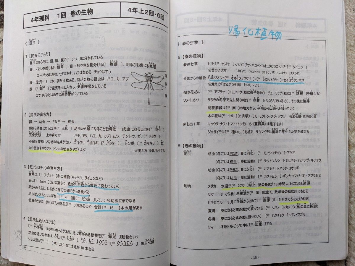 【一部記入済】臨海セミナー中学受験科 小4★読解トレーニング 国語★2021年度 春期講習、夏期講習、冬期講習テキスト★計9冊