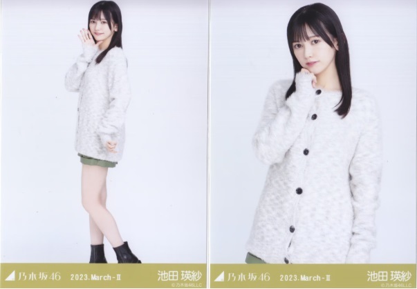 ファーニット バラ売り 乃木坂46 生写真 ファーニット バラ売り 乃木坂46 生写真 乃木坂46 OFFICIAL WEB