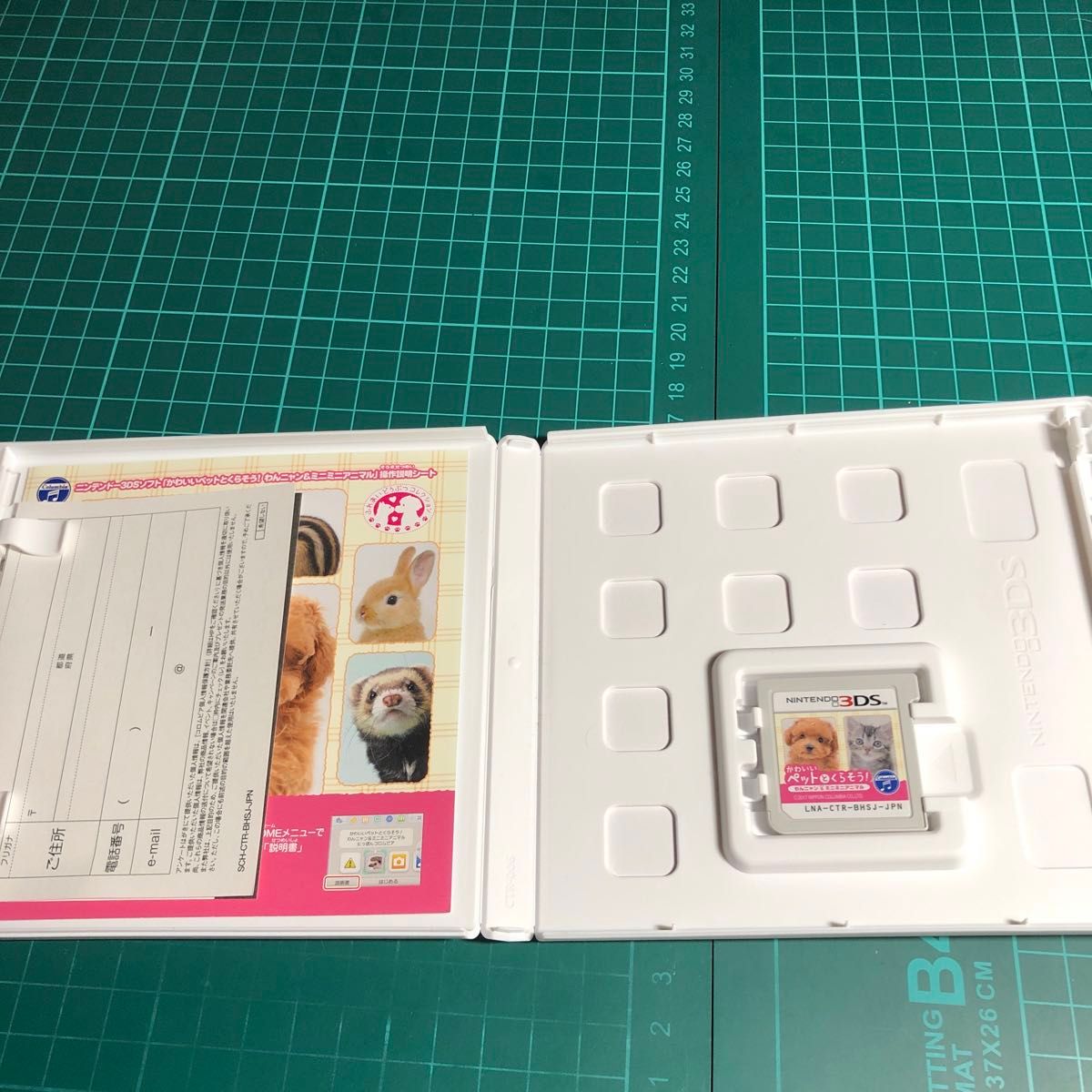 【3DS】 かわいいペットとくらそう！ わんニャン＆ミニミニアニマル