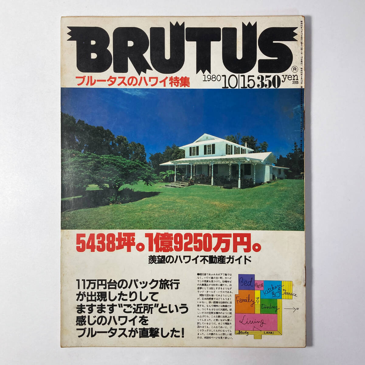 BRUTUS ブルータス ６号 1980 10月15日号 No.6_画像1