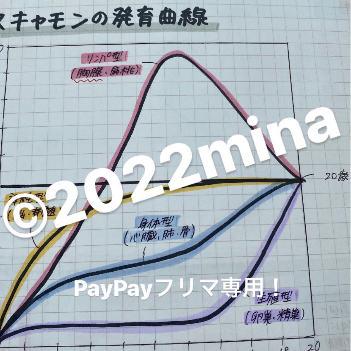 看護師国家試験対策＋看護学実習対策【3点セット！】国試ノート！付箋ノート！付箋100枚ほど！！