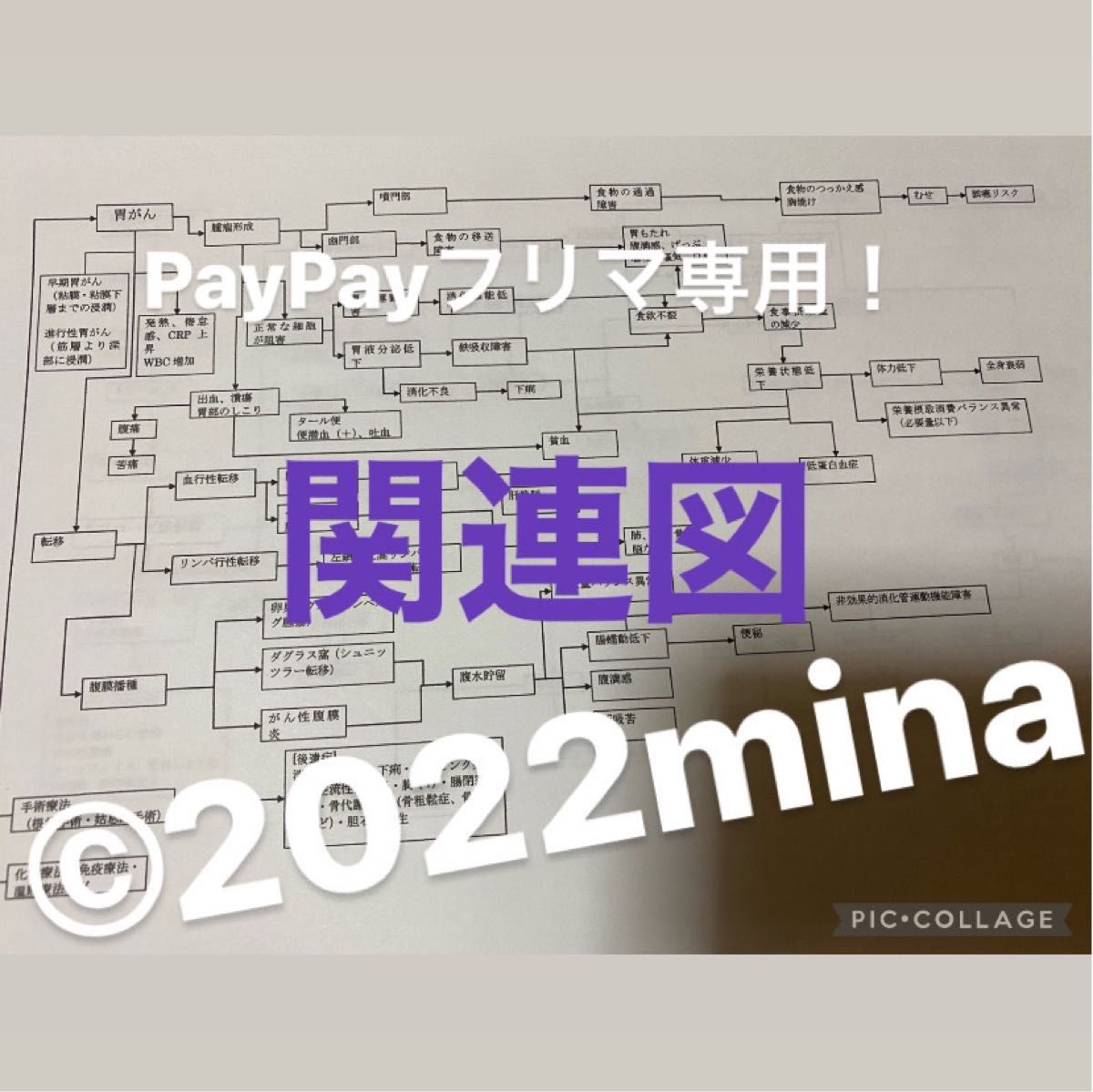 看護師国家試験対策+看護学実習対策【3点セット 】国試ノート 看護師国家試験対策+看護学実習対策【3点セット 】国試ノート