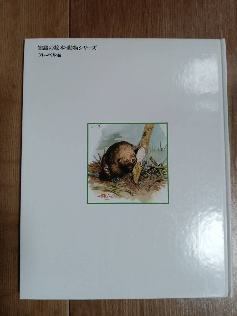 どうぶつのくらし（3）つちのなかみずのなか　矢島稔（指導）清水勝（文・絵）フレーベル館　[m504]_画像4