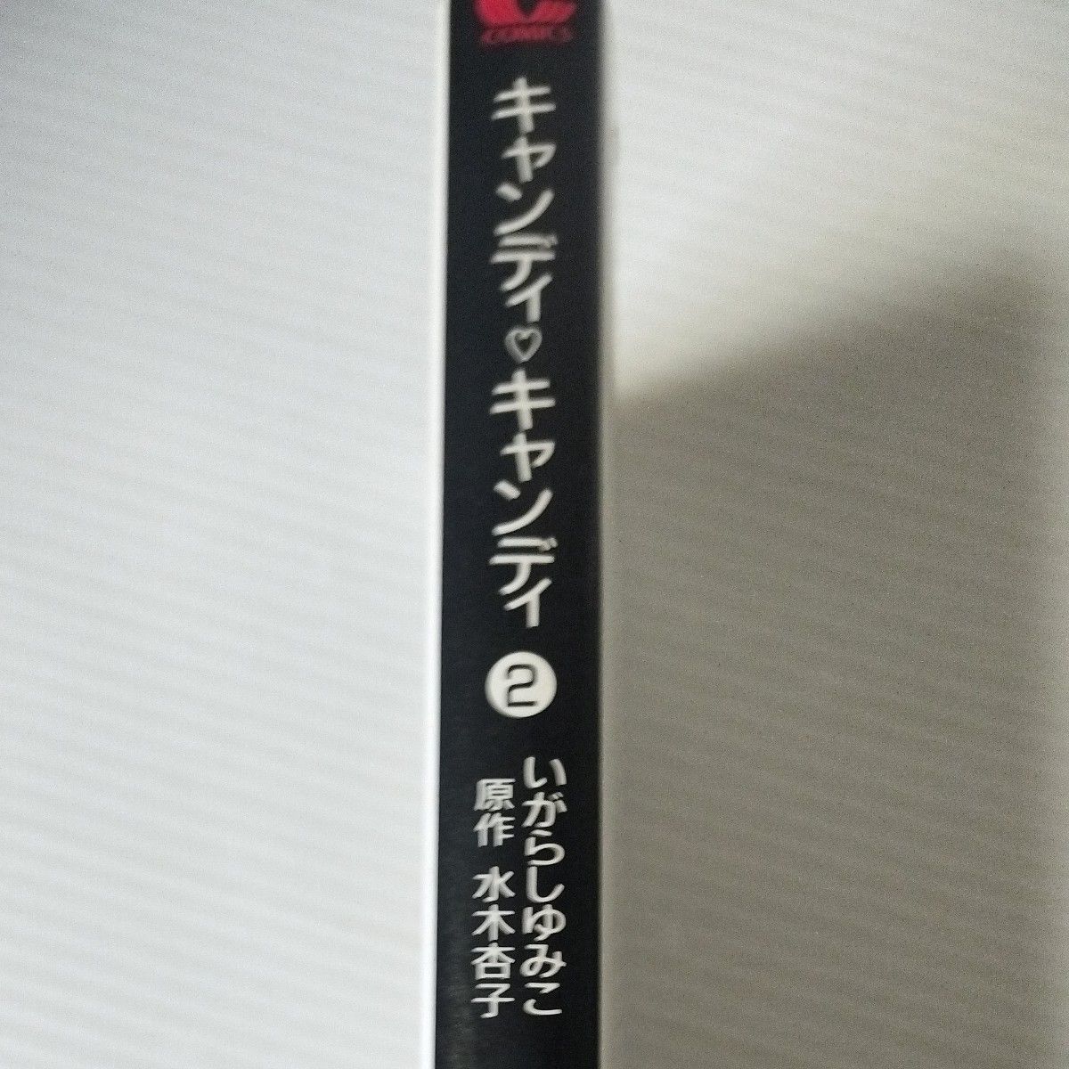 キャンディ〓キャンディ　２ （中公文庫　コミック版） いがらしゆみこ／著　水木杏子／原作